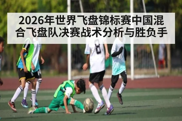 2026年世界飞盘锦标赛中国混合飞盘队决赛战术分析与胜负手